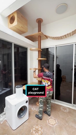 Cat playground @ tree house #cat #cats #catlover #cathouse #treehouse #catbox