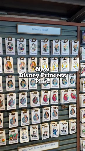 CHRIS💀👻🎃🕷️🦇 on Instagram: "New Disney Princess Pins!✨ • • • • #disneypins #disneypintrading #disneyparks #disneyworld #disneyprincess"