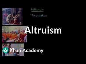 Altruism | Individuals and Society | MCAT | Khan Academy