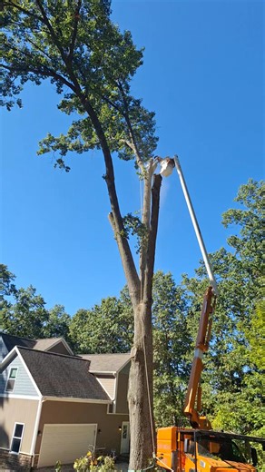 That was a big one! | Top Notch Tree Service, LLC