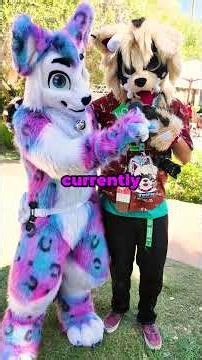 ✨✈️Shout-out To All My Aviation Furries!! ✈️✨