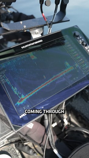 Humminbird on Instagram: "Every angler has their preference when it comes to color palettes. With MEGA Live 2, there are 15 different color palettes to choose from, allowing you to dial in what works best for you. Do you have a favorite color palette? Let’s hear it 👇 #Humminbird #MEGALive2"