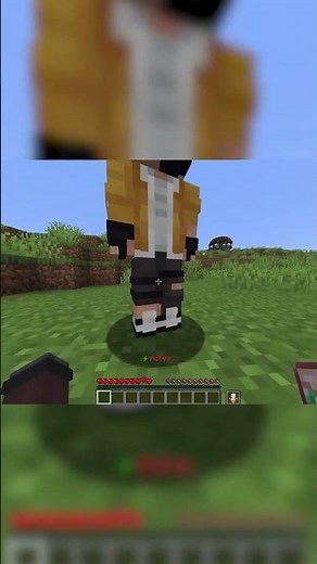 bro obtained god powers 😭🙏 #minecraft #magnolia