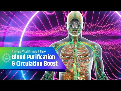528Hz Blood Purification & Circulation Boost 🩸 | Restore Vital Energy & Flow