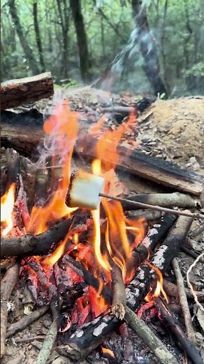 Roasting Marshmallows Over a Campfire: Sweet Camping Treat