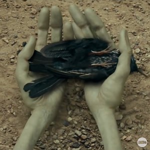 It's been 10 years since a couple of comic book geeks ran into an alien outside of #Area51. What's your favorite scene from #Paul? 👽 https://imdb.to/3eMdWvz | IMDb