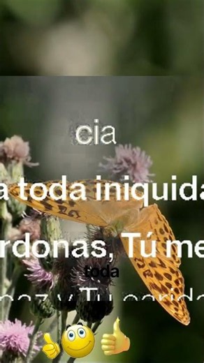 VEN TE BUSCA MI ALMA #alabanzaadoracion #musicacristiana
