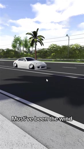 Must’ve been the wind #wind #swfl #static #stance #fyp | swfl