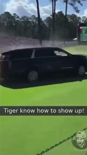 Tiger woods (meme) 🤣