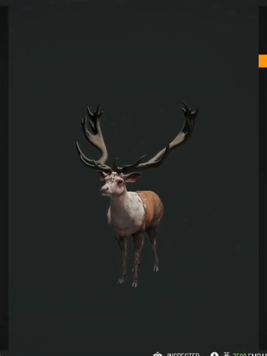 Piebald super troll red deer 🎯 #thehuntercallofthewild #foryou #hunting #fyp #pourtoiii