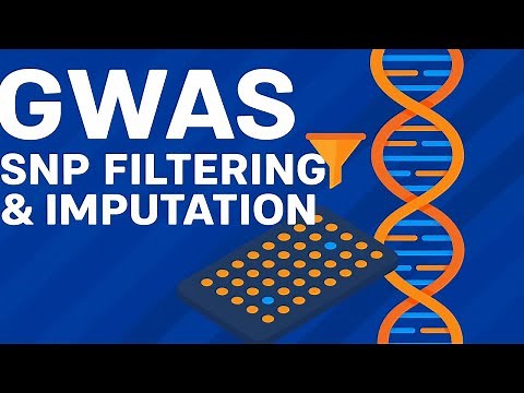 GWAS analysis: SNP filtering and Imputation| Step-by-Step tutorial