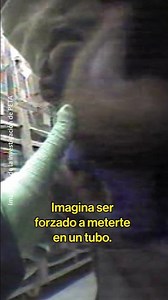 No puedes mover el cuerpo, ni respirar profundamente, ni tomar una respiración profunda...
