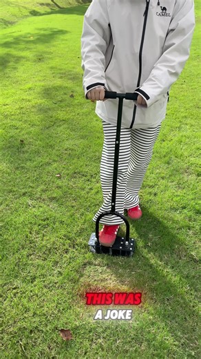 Revitalize Your Lawn with Aeration Techniques