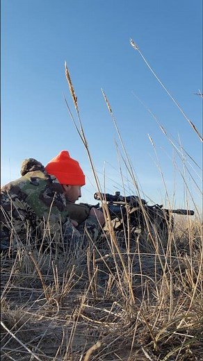 Antelope Hunting in Wyoming