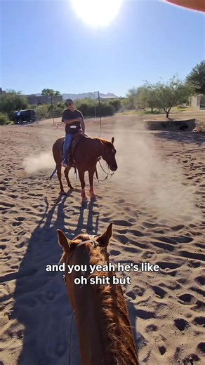 Mastering Horseback Riding: Pro Tips on Backing Up