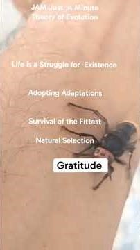 Let there be Peace in the 🌎 Stop the War Arise! Awake !! , your Self B4 the Sunrises !