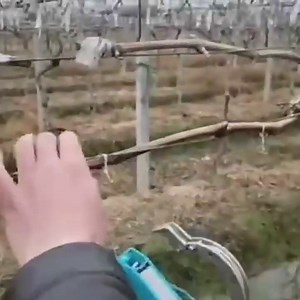 Electric Plant Tying Machine, Gardening Tapener Tool Fast Bundling for Tomatoes Grapes and Vining Plants, Rechargeable Plant Tape Tool with a 3m Cable Tie