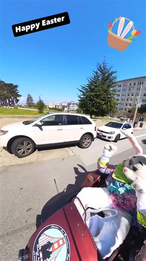 24K views · 655 reactions | Happy Easter✨ : Jerome Sidecar | Ural Motorcycles | Facebook