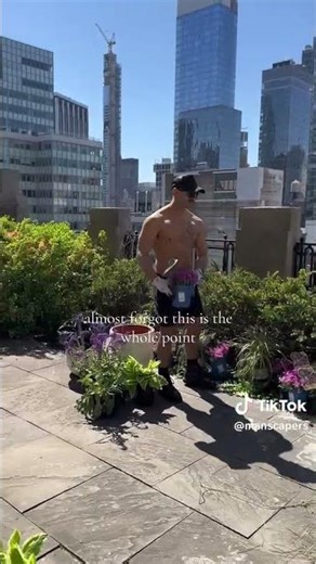 Manscapers - Several Shirtless Muscled🔥 Male Landscapers 🔥updating a rooftop garden 🔥, NYC, Birdsong