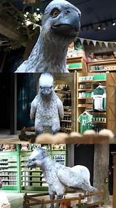 11K views · 329 reactions | Come face-to-face with Buckbeak…! 諾 Stop...