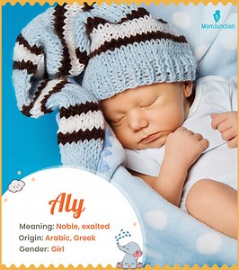 Aly Meaning, History, Origin And Popularity