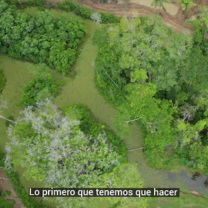 ¡Los animales silvestres no son mascotas!🐒 Nuestro equipo del #CAD trasladó estos animales silvestres hasta un centro de custodia, donde podrán vivir en un ambiente amplio y muy parecido a su hábitat natural. | Gobernación de Santa Cruz