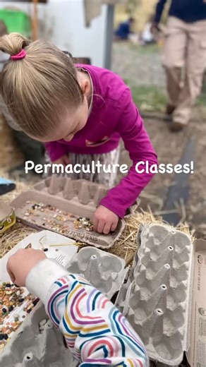 🌱 Permaculture for Kids! 🌿 Our Children’s Permaculture Classes are happening every Tuesday at a hands-on adventure in growing, creating, and caring for the Earth. 📅 Tuesdays | 3:45 – 5:00 PM 👧🏽 Ages 4 – 12 💲 $10 per class. Link in the bio or https://pacificagarden.org/education/community-workshop-classes/ | Pacifica: A Garden in the Siskiyous