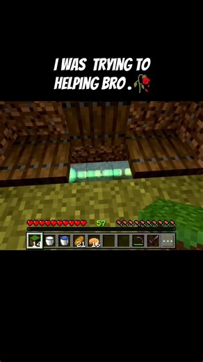I was trying to helping bro..#minecraft #shorts