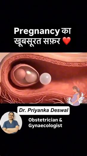 This video deserves to be seen the most! It’s the most beautiful 2 minutes on the internet — a complete journey from ovulation to birth. 🩷 In this short video, you’ll see: ✨ How the ovum is formed ✨ How sperm meets egg (fertilization) ✨ Implantation and early embryonic development ✨ Blastocyst, morula stages ✨ Baby’s growth inside the womb ✨ And finally, the miracle of birth 👶 Spend just 2 minutes to witness the entire journey of life — something every parent and mom-to-be should see! 💫 📩 Sh