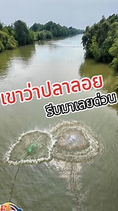 359K views · 9.4K reactions | พอมาถึง ไม่ลอยแล้ว 555+  #หว่านแห #Reels #น้าเบิร์ดฟิชจัง #น้าเต้ฟ้าประธาน #ทอดแห #แหฝรั่งอันดับ1 | FISH JANG ฟิชจัง มีตัวเป็นโดน | Facebook