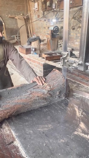 Tree 🌳 falling #wood #carpentry #fypシ #viral #machine