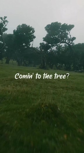 The Hunger Games - The Hanging Tree Music Video