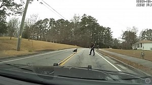 Officer vs. angry turkey: A hilarious standoff
