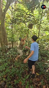 Look carefully👀 | Ilham Bakir