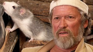 Check out part 2 of our compilation featuring rodent infestations. | Hoarders on A&E