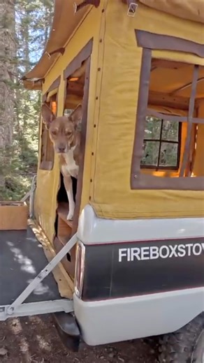 2.6M views · 30K reactions | It’s getting colder, you know what that means? Time to bring out the truck camper!!! | Firebox Stove | Facebook