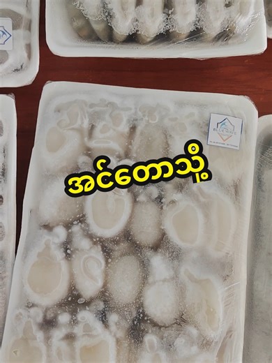Blue Wave seafood & commodity distribution #Taunggyi #seafood #ပင်လယ်စာအစုံ #စားမယ်ဝါးမယ် #ရှမ်း