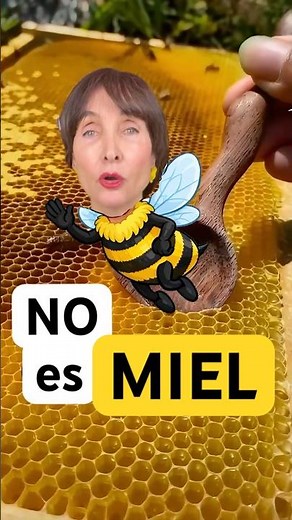 What is propolis?