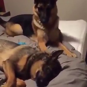 Abends im Bett mit der Freundin... | Weil ich dich Liebe