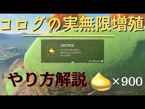 コログの実無限増殖のやり方【ブレワイ】