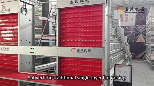A type layer cage system#chickencage #layercage #eggs #chicken #poultrycage #factory #layer #egg #factorywork #installationvideo #manureremoving #installation #ventilation #loading #poultryfarming🐥🐔 #customervisit #customersite
