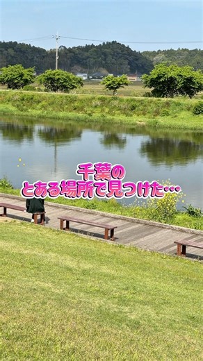 多古町・道の駅・絶景で食べる串焼き