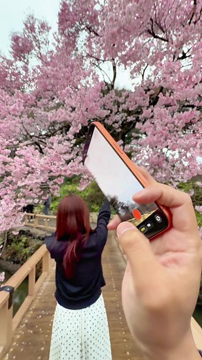 Shinjuku Gyoen Cherry Blossoms with Friends 🌸 2026