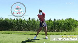 60 Second Swing Study | Anne Van Dam