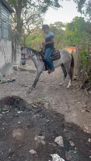 Mejores montadores de potros en contacto privado