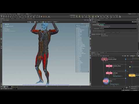 Muscles H21 Masterclass 10 | Muscle Flex
