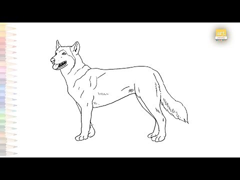 Dingo | Dingo animal drawings | How to draw A Dingo step by step | Easy drawing tutorials