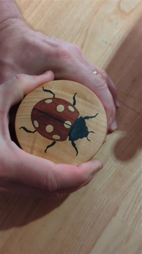 Walter Mason on Instagram: "Marienkäfer #woodworking #cnc #woodturning"