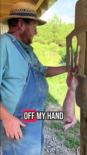 Part 2 processing meat rabbits #homestead #farmtotable #homegrown #rabbitfarming #processing