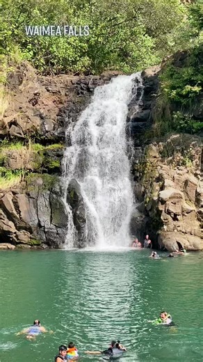 Swimming at Waimea Falls in North Shore Oahu